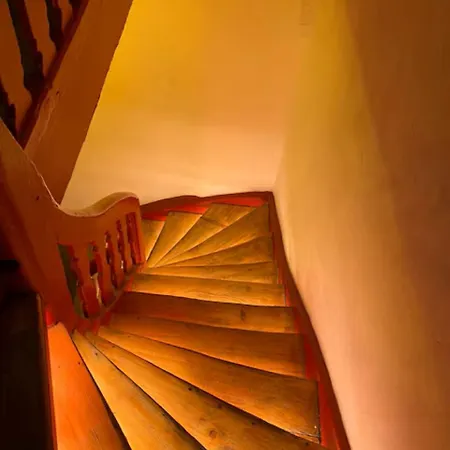 شقة Cosy Cathedrale ستراسبورغ
